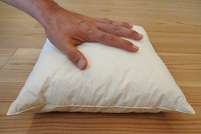 【羽毛の品質】 復元力が違う