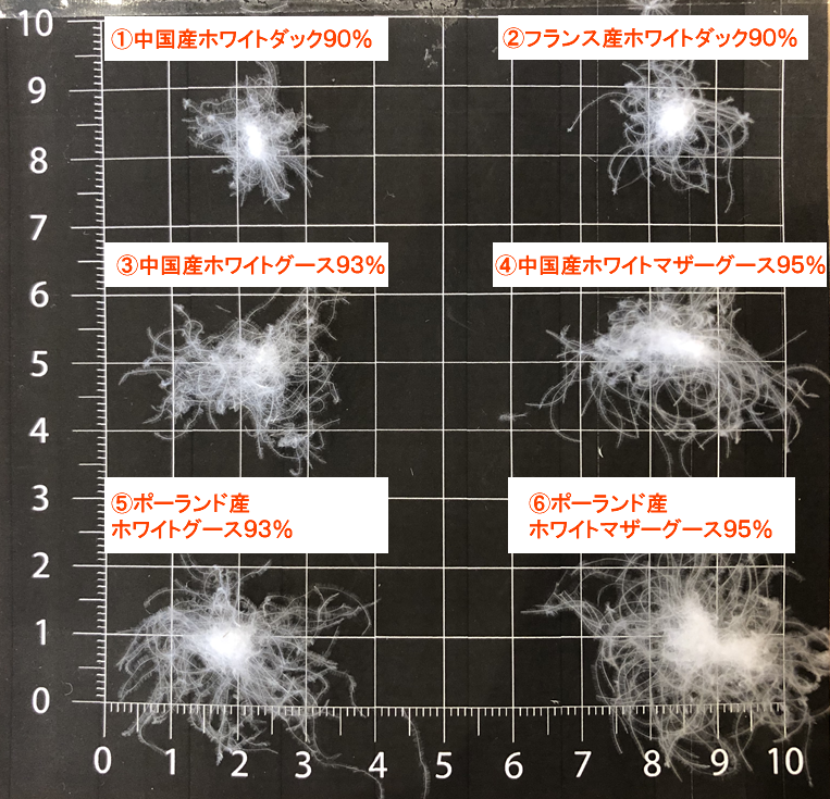 ダウン（羽毛の種類）