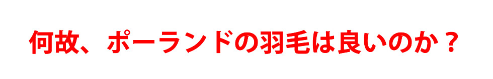 何故ポーランドの羽毛は良いのか？
