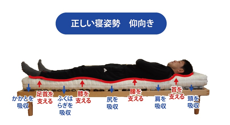正しい根姿勢　仰向き
