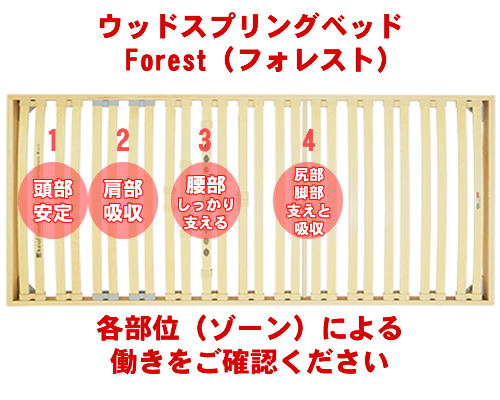 ウッドスプリング　フォレスト

